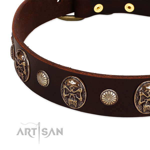 Leather dog collar with embellishments for handy use