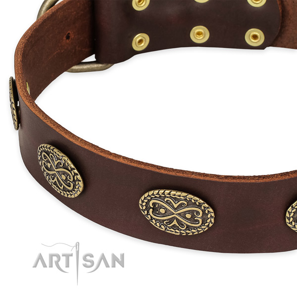 Remarkable leather collar for your stylish four-legged friend