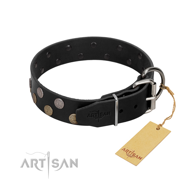 Perfect fit collar of genuine leather for your handsome doggie
