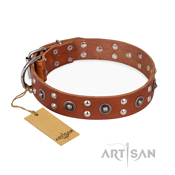 Handy use extraordinary dog collar with strong buckle