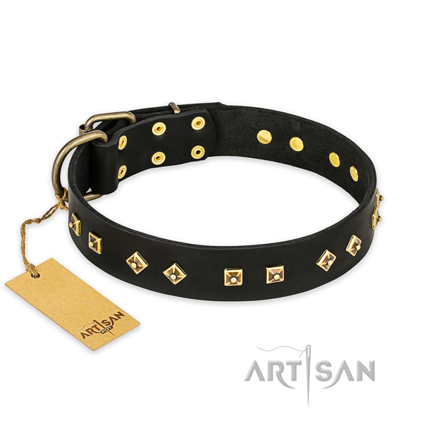 Amazing full grain leather dog collar with reliable fittings