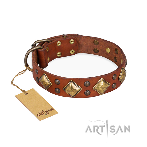 Easy wearing fine quality dog collar with rust-proof D-ring