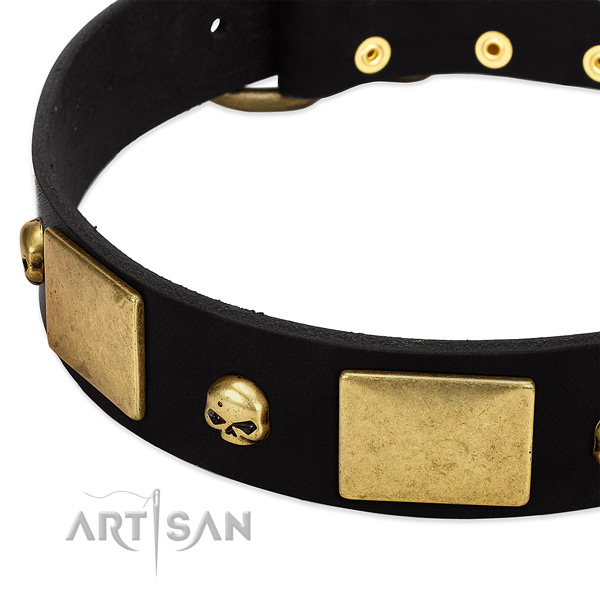 Top notch genuine leather collar for your impressive dog