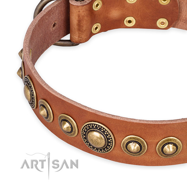 Best quality full grain leather dog collar handcrafted for your impressive canine