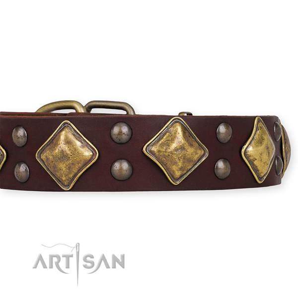 Natural leather dog collar with incredible corrosion resistant decorations