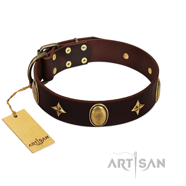 Quality full grain leather dog collar with rust-proof studs