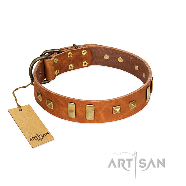 Full grain natural leather dog collar with strong buckle