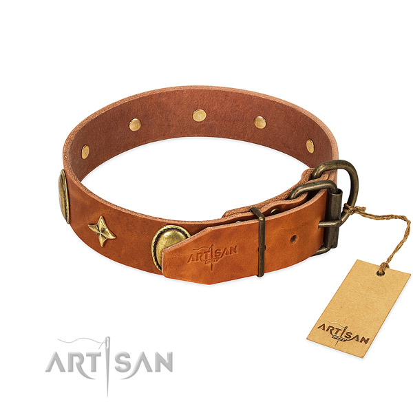 High quality full grain genuine leather dog collar with remarkable embellishments
