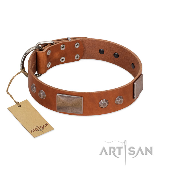 Designer full grain genuine leather collar for your attractive pet
