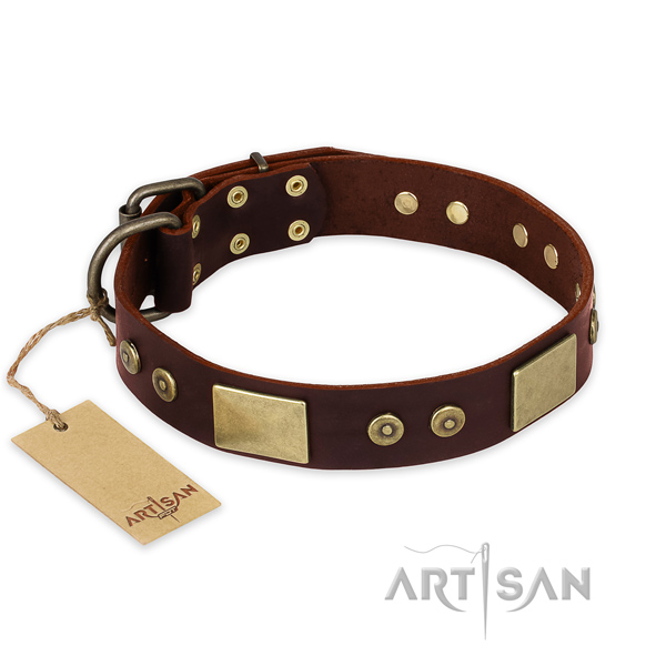 Unusual natural genuine leather dog collar for everyday use