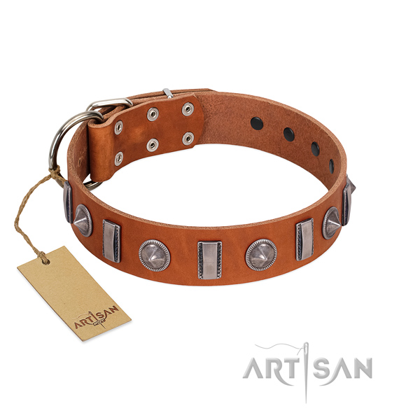 Soft leather dog collar with embellishments for your dog
