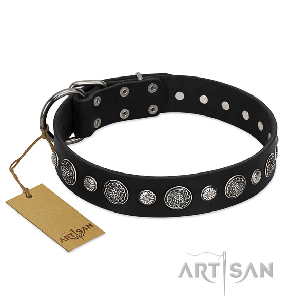 Fine quality leather dog collar with significant embellishments