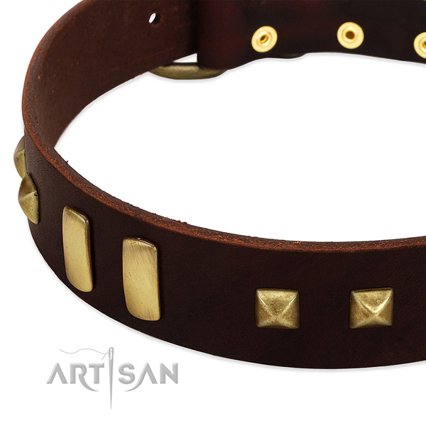 Gentle to touch full grain leather dog collar with decorations for everyday use