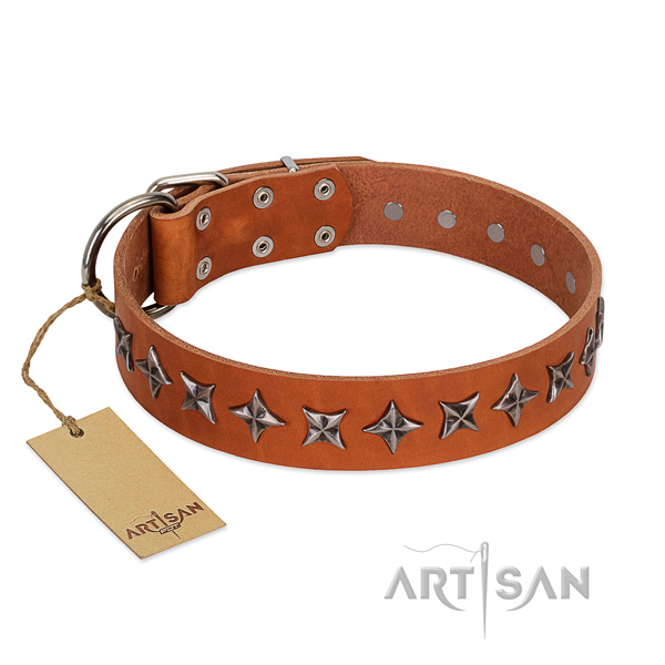 Comfy wearing dog collar of top quality natural leather with embellishments