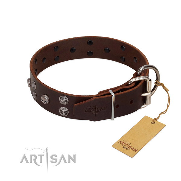 Top rate leather dog collar with studs for stylish walking