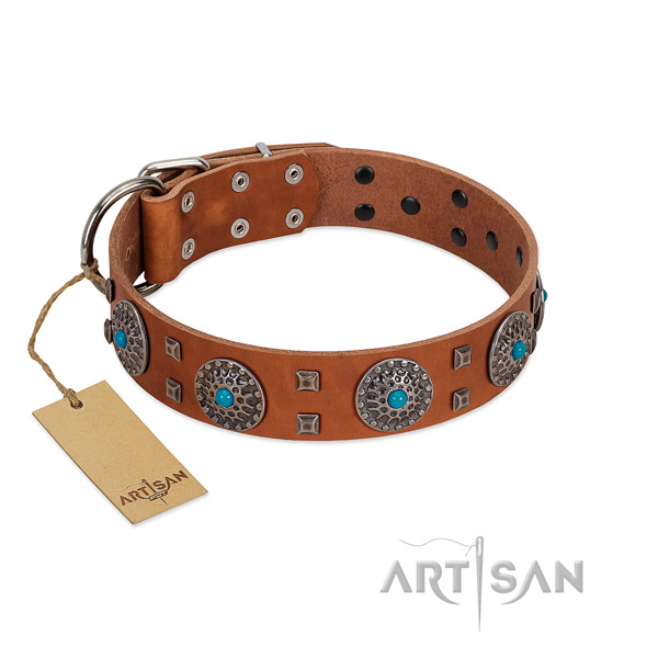 Stylish walking full grain leather dog collar with inimitable studs