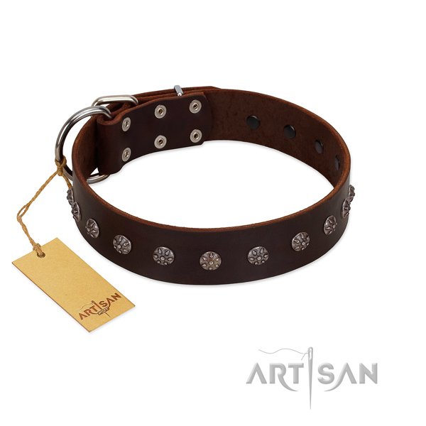 Fancy walking genuine leather dog collar with exceptional decorations