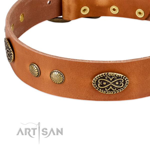 Corrosion proof fittings on leather dog collar for your dog