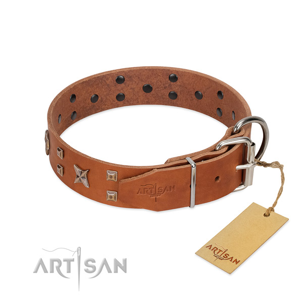 Genuine leather dog collar with studs for your impressive pet
