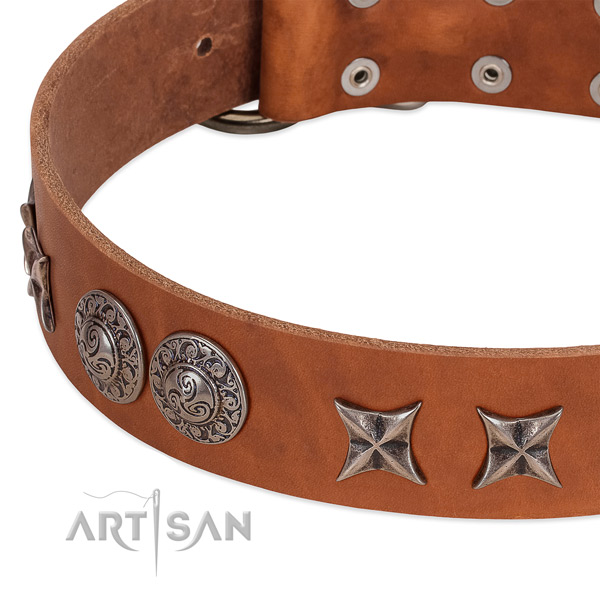 Top notch genuine leather dog collar handcrafted for your pet