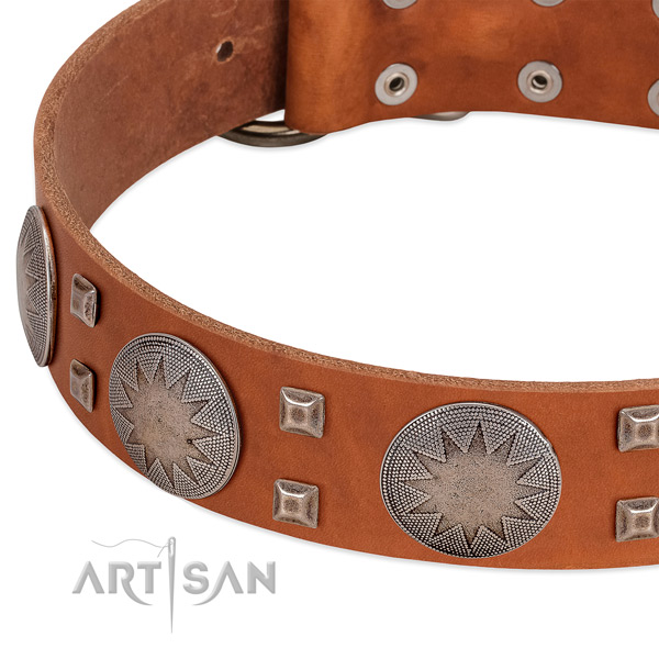Everyday use best quality leather dog collar with embellishments