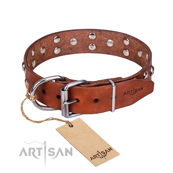 Stylish walking dog collar of reliable full grain leather with embellishments