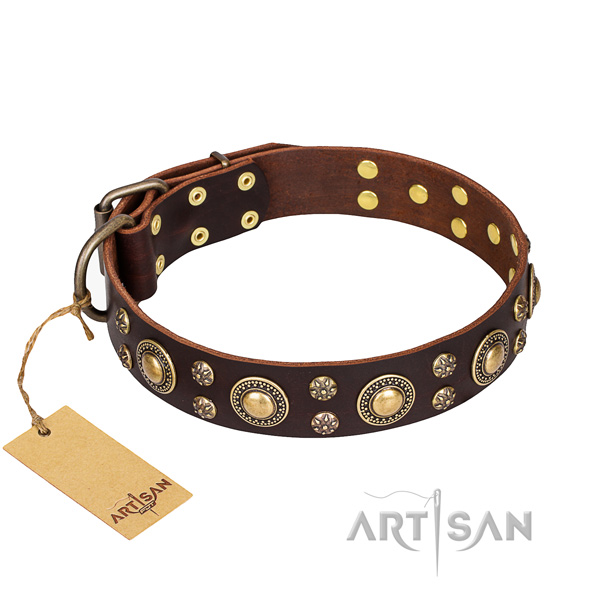 Daily walking dog collar of quality leather with decorations