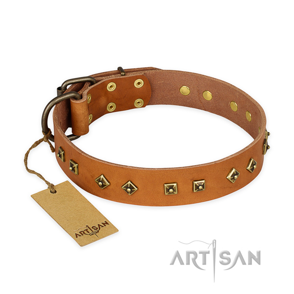 Trendy natural leather dog collar with strong hardware