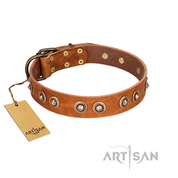 Rust-proof embellishments on full grain genuine leather dog collar for your dog