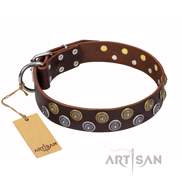 Comfy wearing dog collar of high quality full grain leather with decorations
