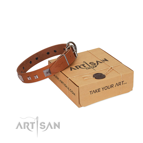 Impressive dog collar of leather with embellishments
