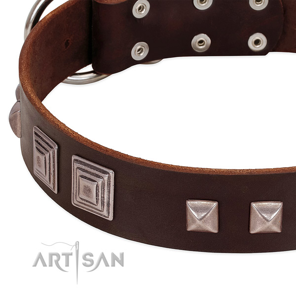 Rust resistant D-ring on genuine leather dog collar for comfortable wearing