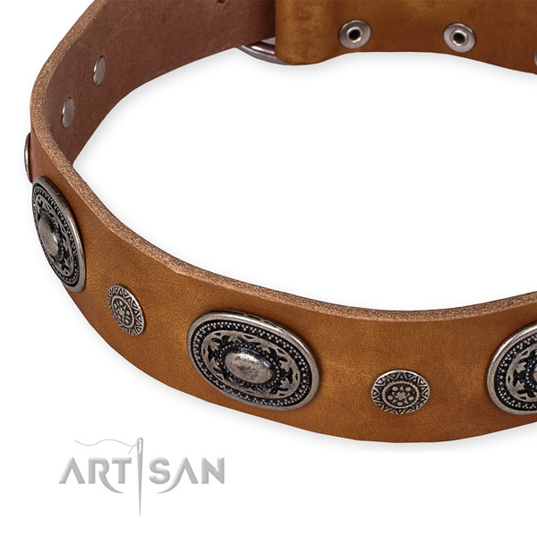Top rate full grain leather dog collar made for your beautiful doggie