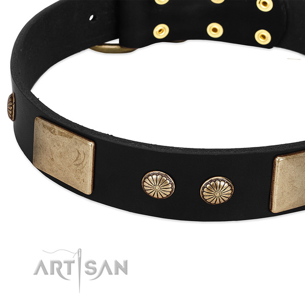 Full grain natural leather dog collar with adornments for comfortable wearing