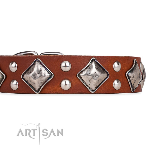 Full grain leather dog collar with remarkable corrosion proof decorations