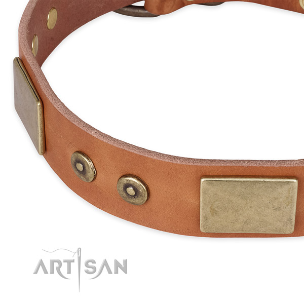 Strong D-ring on genuine leather dog collar for your doggie