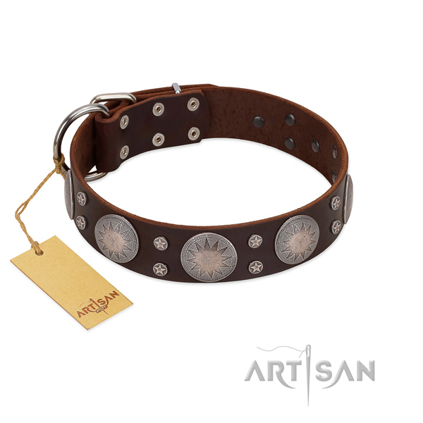 Top-notch genuine leather collar for your beautiful canine