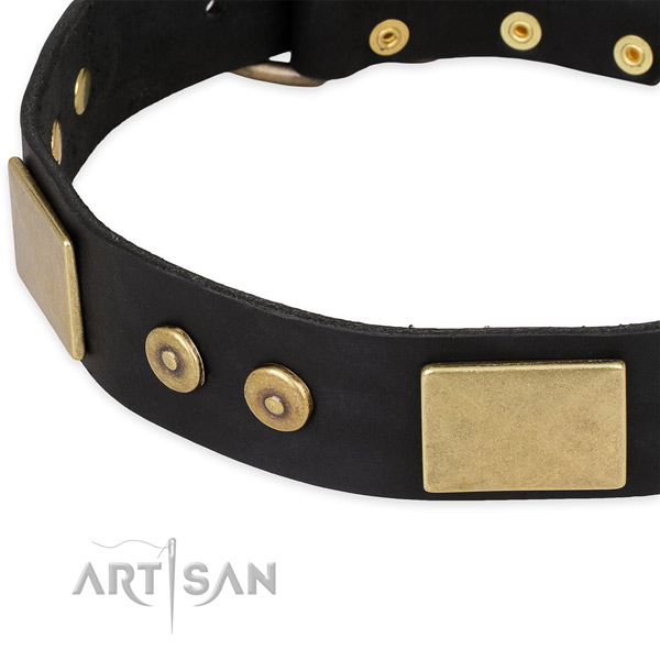 Strong adornments on leather dog collar for your pet