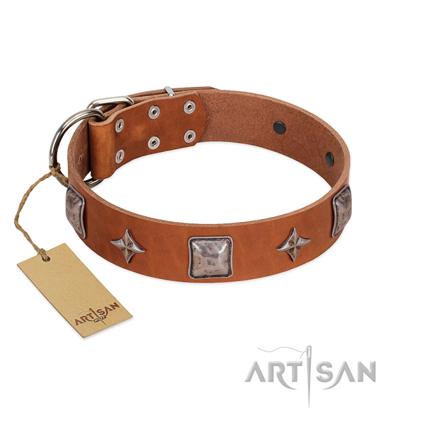 Flexible full grain natural leather dog collar with embellishments for daily use