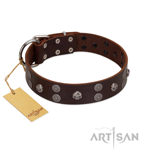 Easy wearing embellished leather collar for your doggie