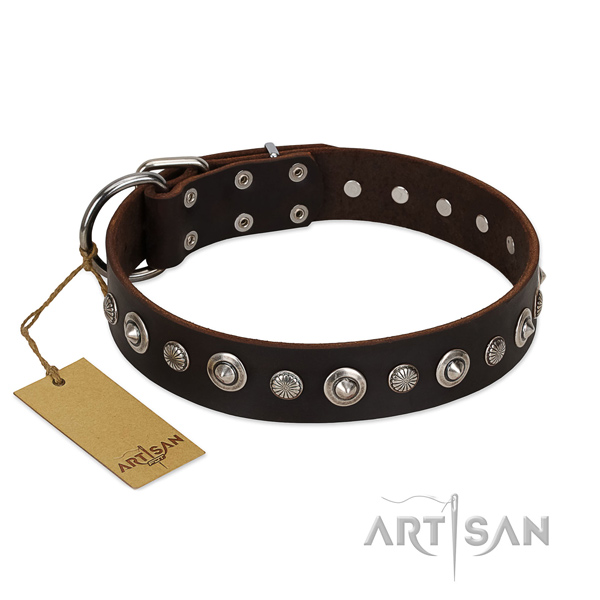Fine quality natural leather dog collar with stunning studs