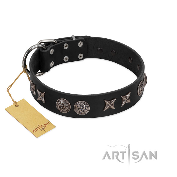 Stunning full grain leather dog collar for comfy wearing