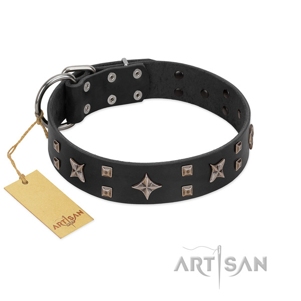 Fashionable full grain leather dog collar with reliable embellishments