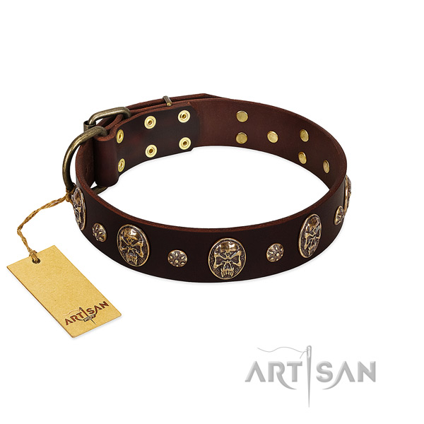 Embellished full grain genuine leather collar for your doggie