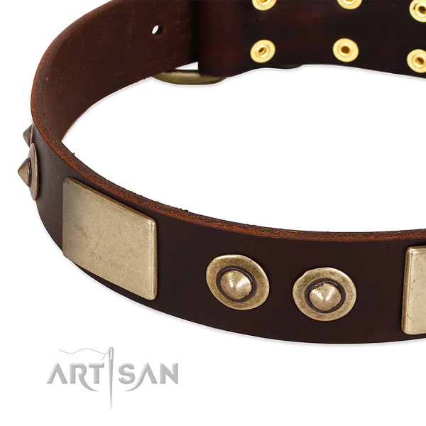 Rust-proof decorations on full grain natural leather dog collar for your doggie