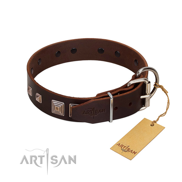 Walking full grain natural leather dog collar with exquisite decorations