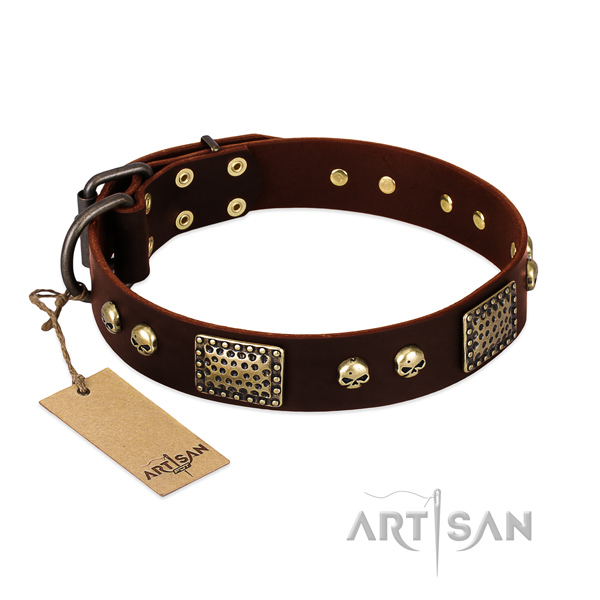 Easy to adjust leather dog collar for stylish walking your four-legged friend