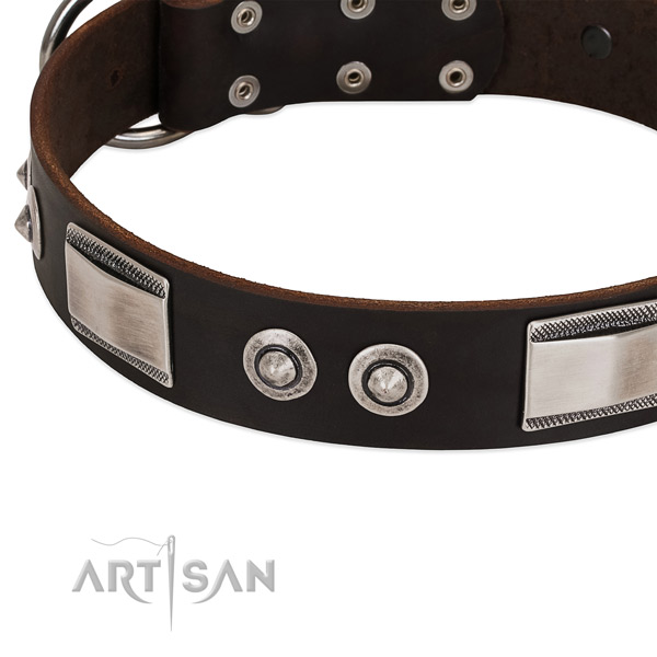 Handmade full grain genuine leather collar for your four-legged friend
