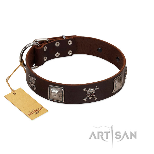 Impressive dog collar crafted for your impressive pet