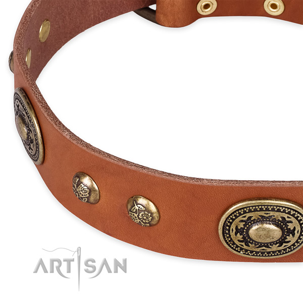 Impressive full grain natural leather collar for your beautiful four-legged friend